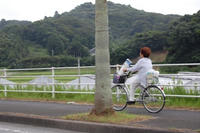 7dc781f6.JPG