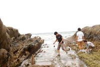 a693c8f8.JPG