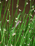 c5087716.jpg