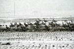01.25-3.jpg