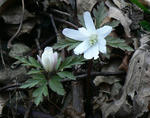 2009.03.01-3.jpg