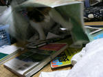 08.02-2.jpg
