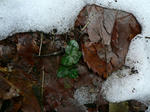 02.28-4.jpg
