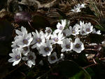 03.14-3.jpg