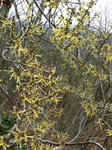 04.02-2.jpg