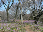 04.17-2.jpg
