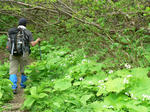 06.04-1.jpg