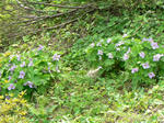 06.04-3.jpg
