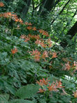 08.28-1.jpg
