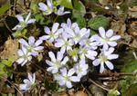 04.15-1.jpg
