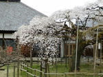 04.22-4.jpg