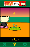 ハボの種００１