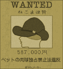 usoko_wanted-neko1.gif