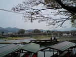 080413_1121~0001.jpg