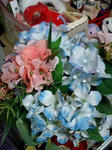 080612_2137~0001.jpg