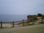 090503_1427~0001.jpg