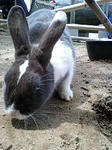 090503_1235~0001.jpg