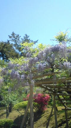 20100522-a.JPG