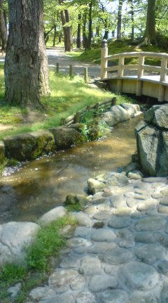 20100522-d.JPG
