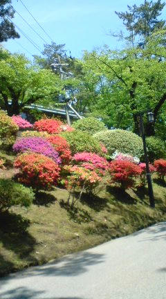 20100522-g.JPG
