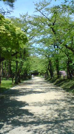 20100522-h.JPG