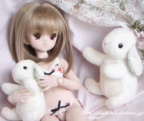 070623haru02.jpg