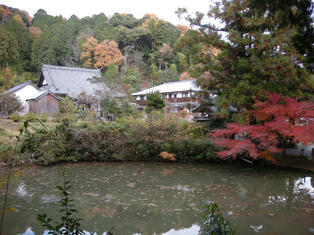 DSCN2405.JPG