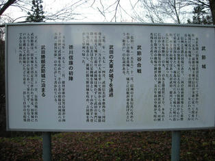 DSCN2487.JPG