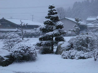 DSCN2578.JPG