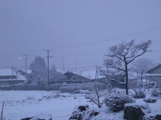 DSCN2580.JPG