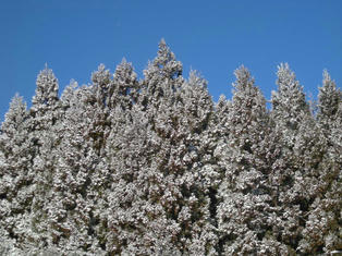 DSCN2585.JPG