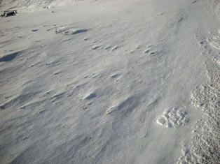 DSCN2584.JPG