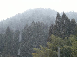 DSCN2656.JPG