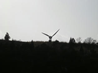 DSCN3246.JPG