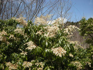 DSCN3293.JPG