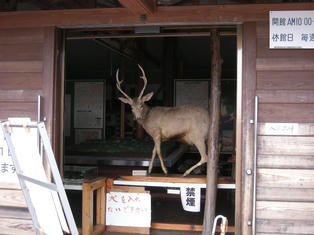 DSCN3299.JPG