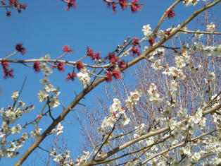 DSCN3326.JPG