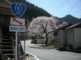 DSCN3343.JPG