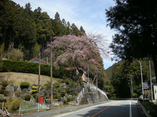 DSCN3346.JPG