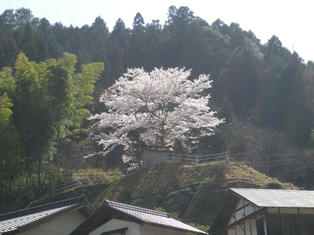 DSCN3381.JPG
