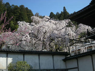 DSCN3383.JPG