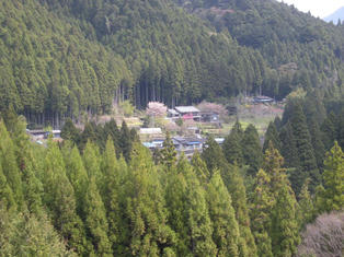 DSCN3399.JPG