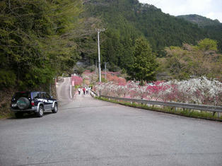 DSCN3400.JPG