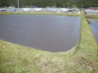 DSCN3413.JPG