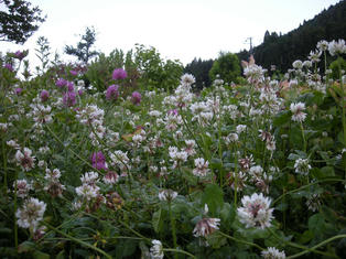 DSCN3500.JPG
