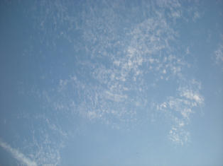 DSCN3509.JPG