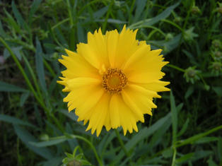 DSCN3518.JPG