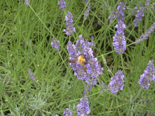 DSCN3748.JPG