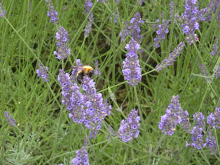 DSCN3751.JPG