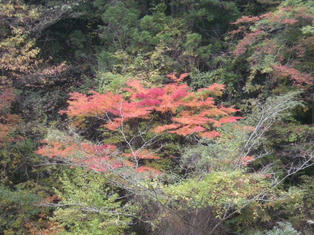 DSCN4395.JPG